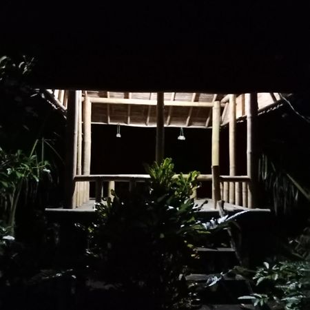 Bali Mountain Forest Cabin Penebel المظهر الخارجي الصورة