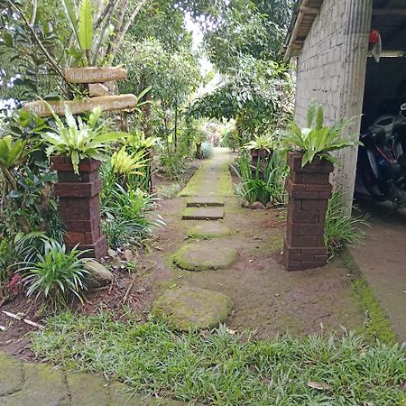 Bali Mountain Forest Cabin Penebel المظهر الخارجي الصورة