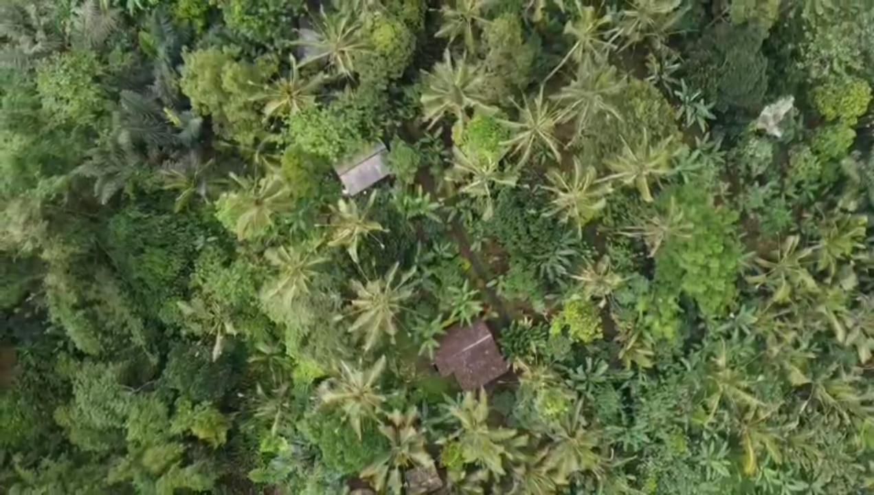 Bali Mountain Forest Cabin Penebel المظهر الخارجي الصورة