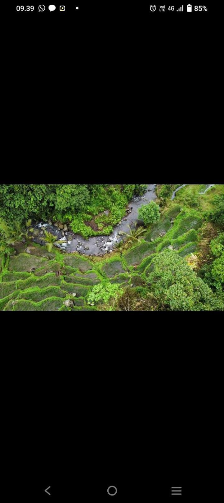 Bali Mountain Forest Cabin Penebel المظهر الخارجي الصورة