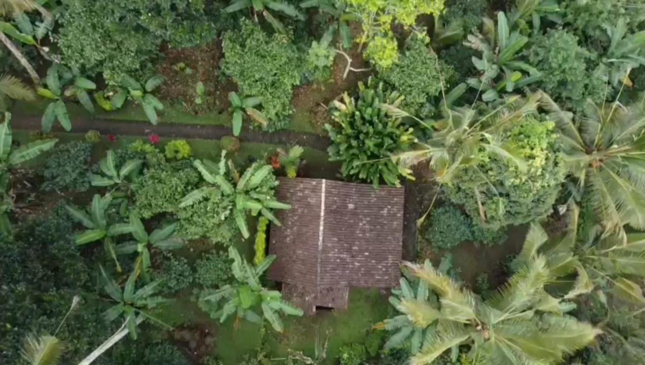 Bali Mountain Forest Cabin Penebel الغرفة الصورة