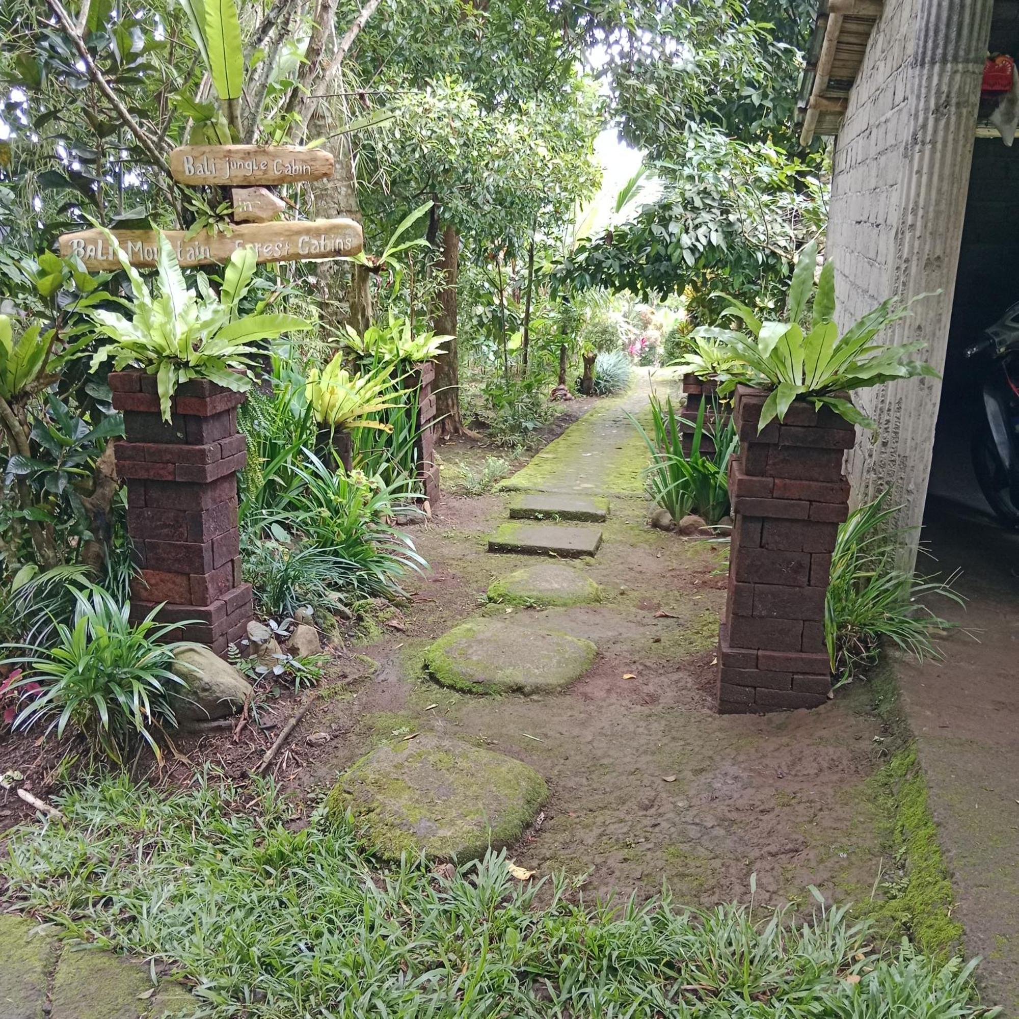 Bali Mountain Forest Cabin Penebel الغرفة الصورة