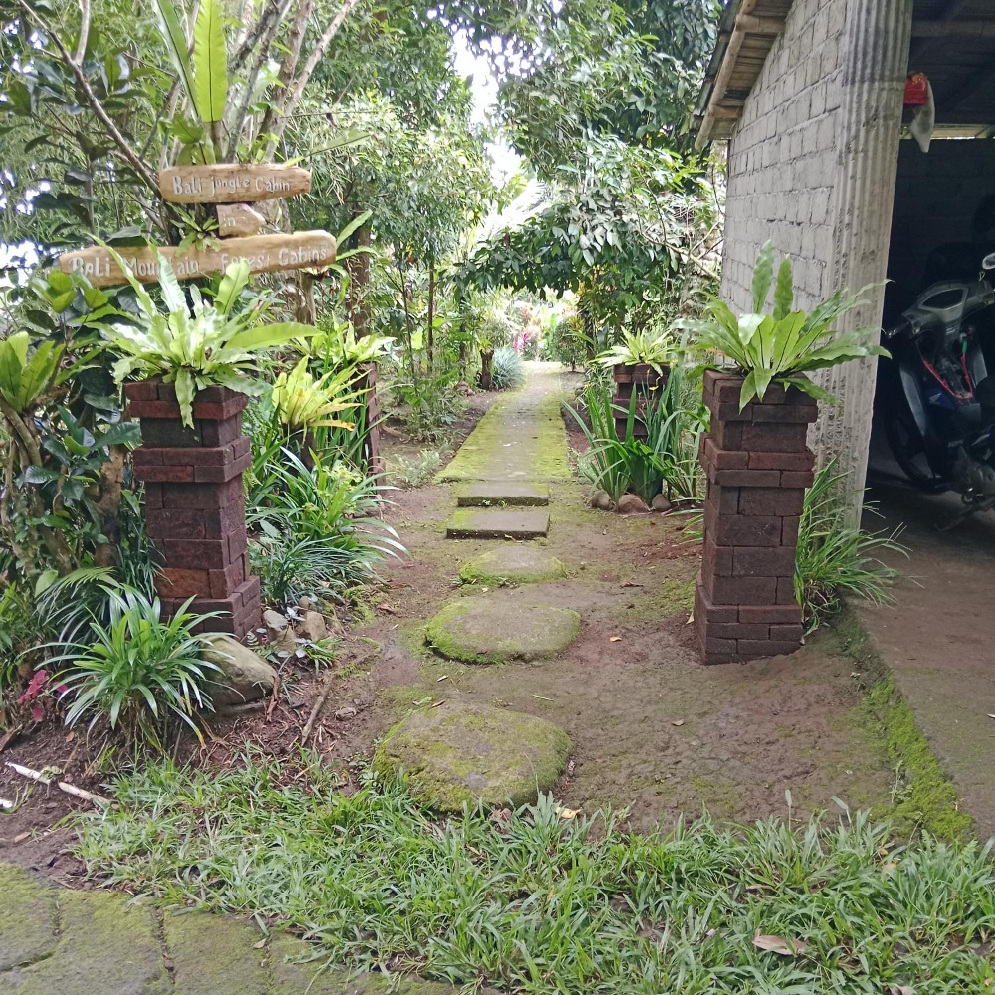 Bali Mountain Forest Cabin Penebel المظهر الخارجي الصورة