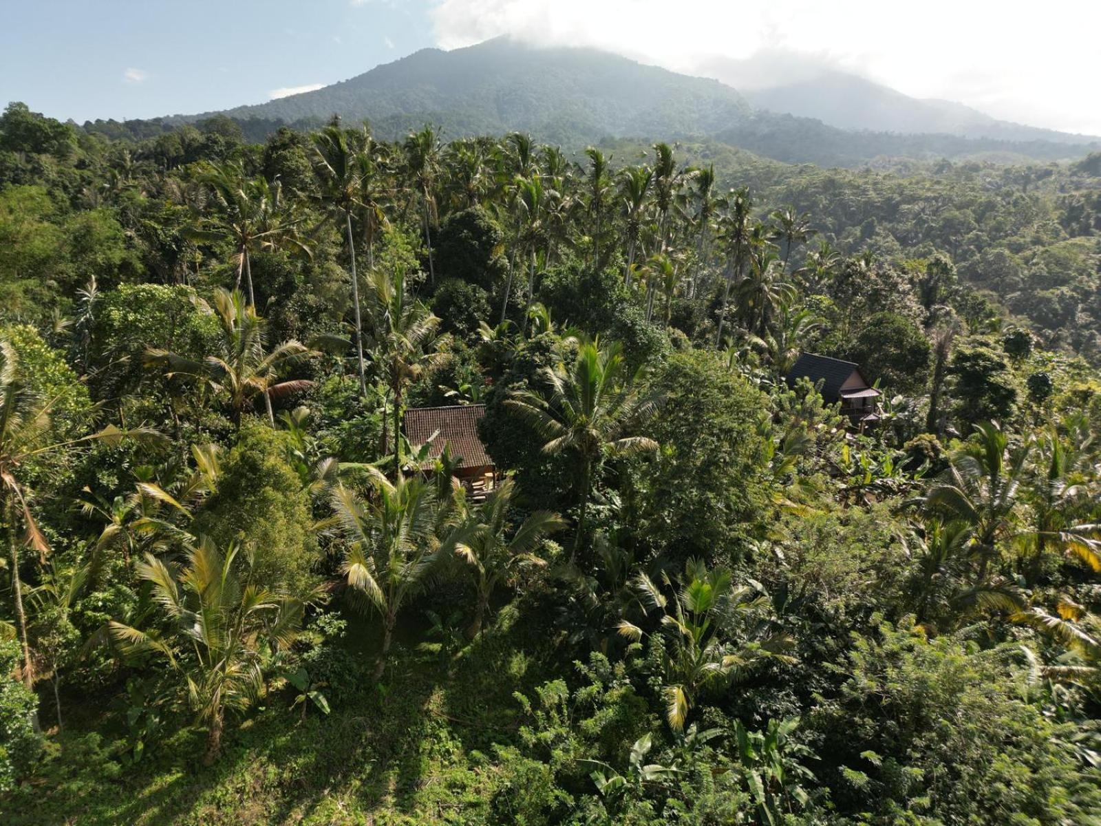 Bali Mountain Forest Cabin Penebel الغرفة الصورة