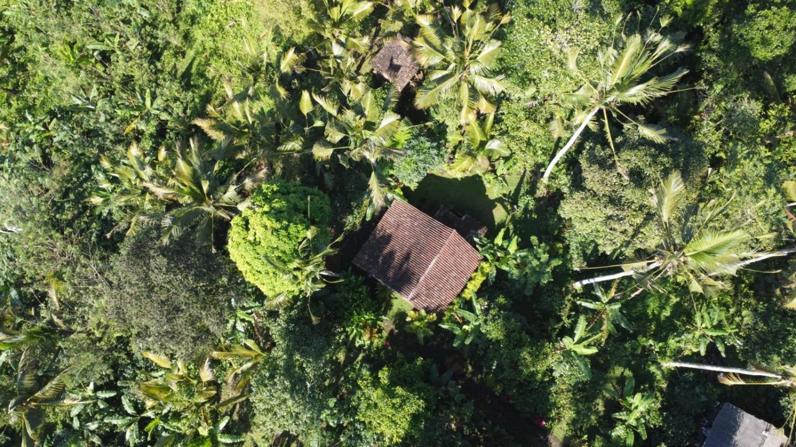 Bali Mountain Forest Cabin Penebel الغرفة الصورة