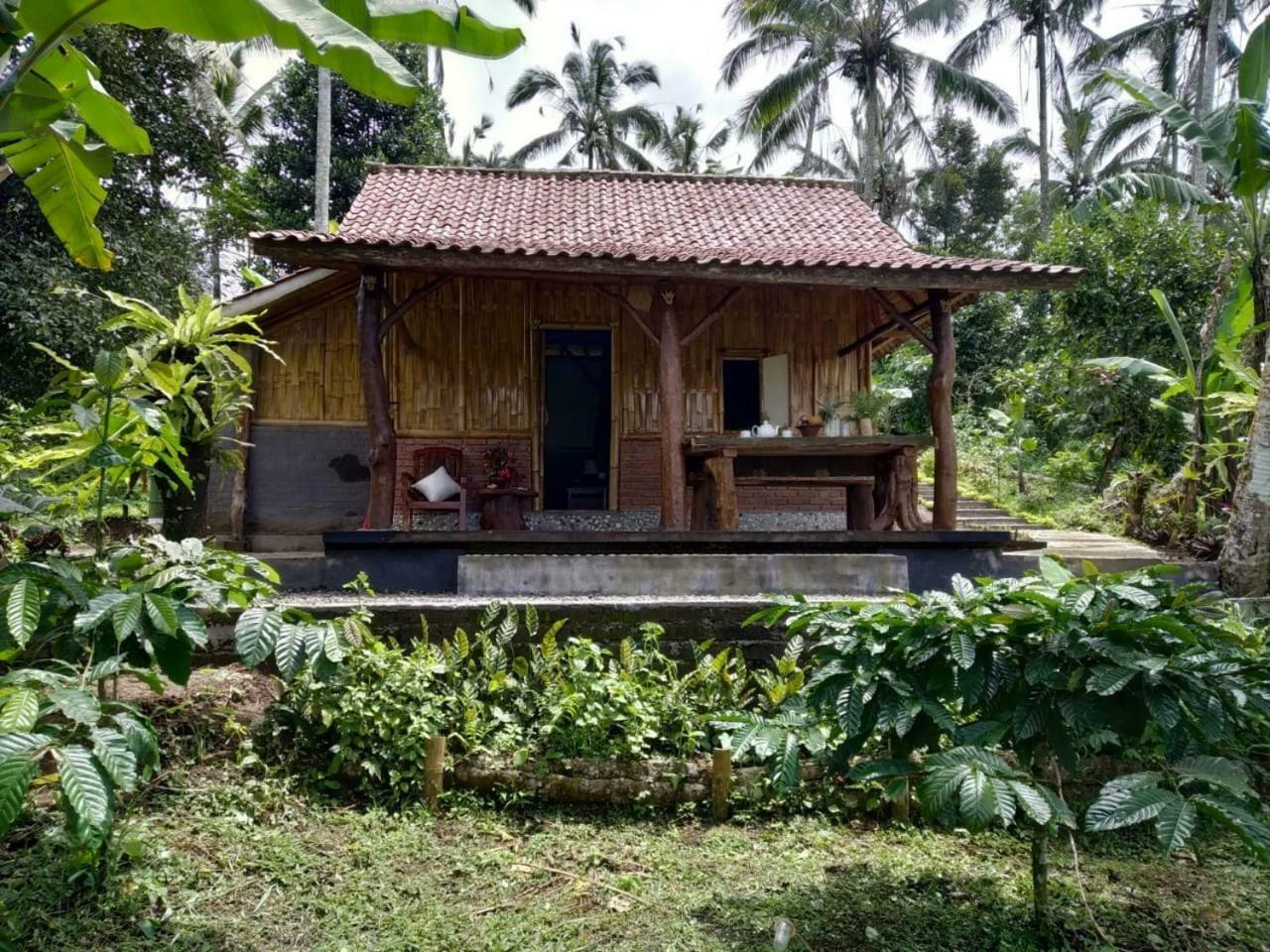 Bali Mountain Forest Cabin Penebel المظهر الخارجي الصورة