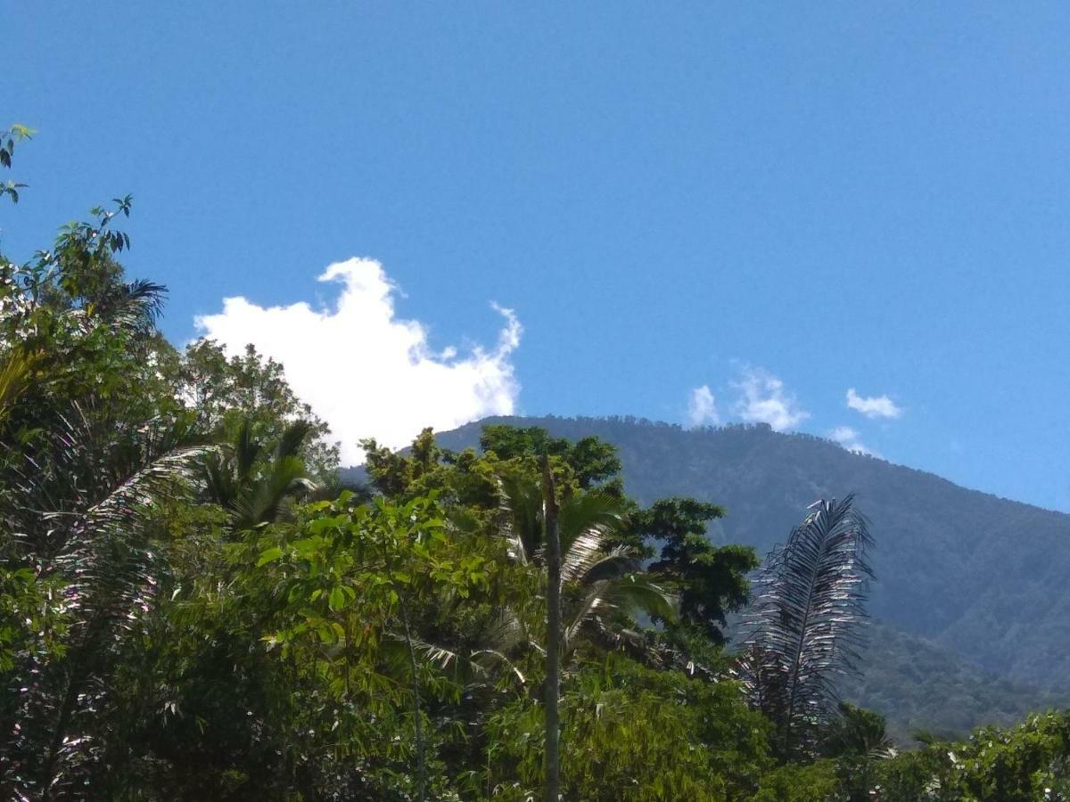 Bali Mountain Forest Cabin Penebel المظهر الخارجي الصورة
