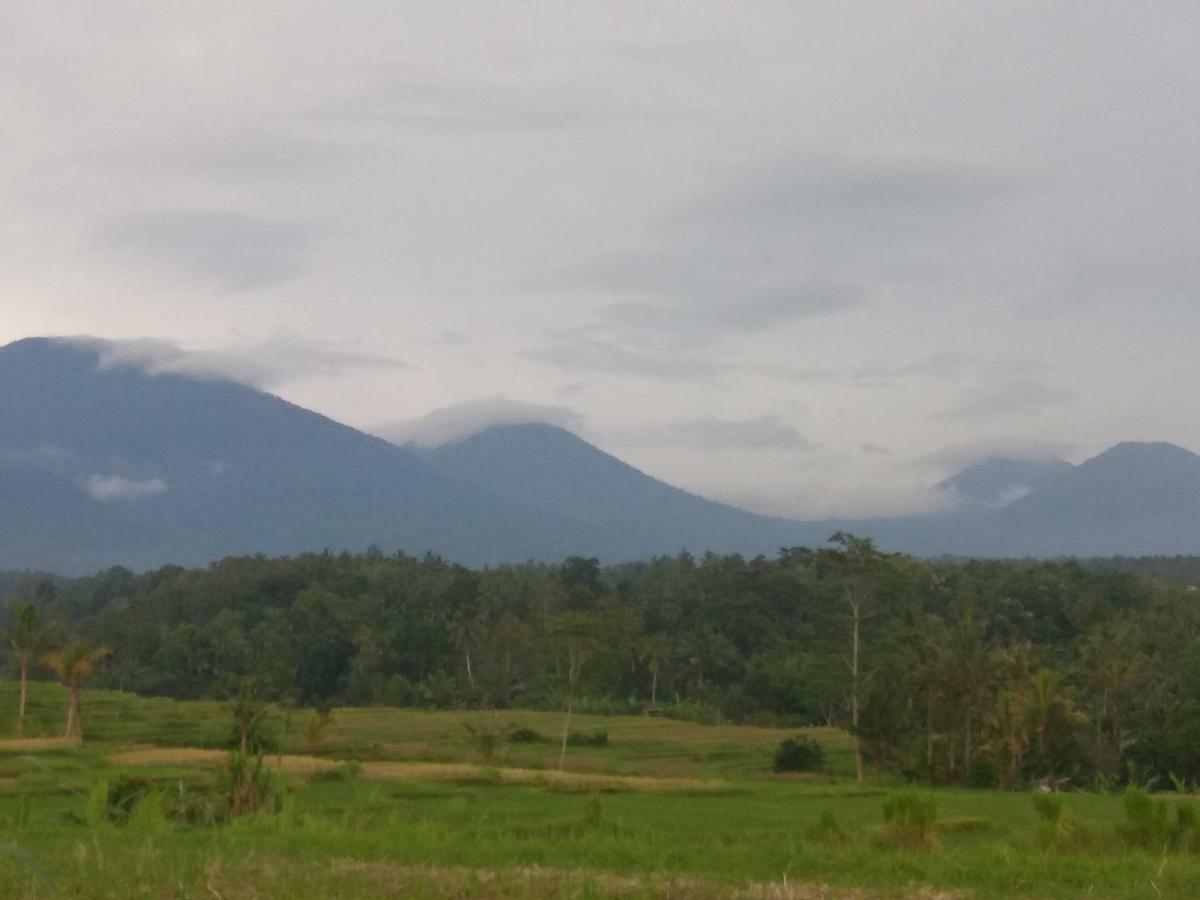 Bali Mountain Forest Cabin Penebel المظهر الخارجي الصورة