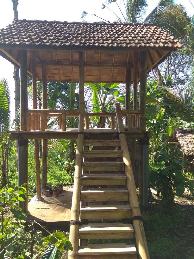 Bali Mountain Forest Cabin Penebel الغرفة الصورة